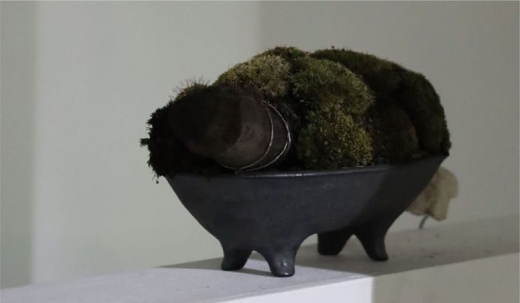 武田真彦さんの作品